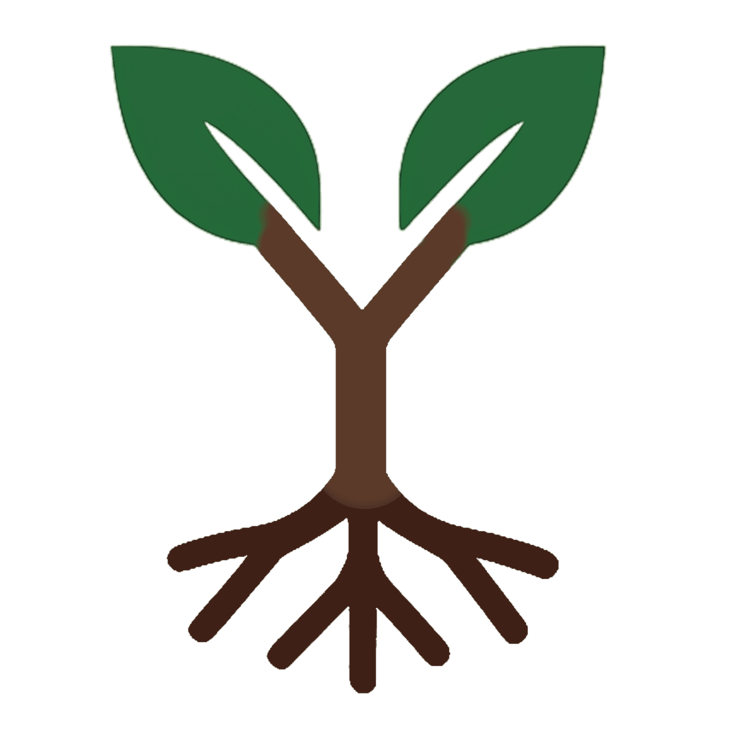 YRoot Coaching logo